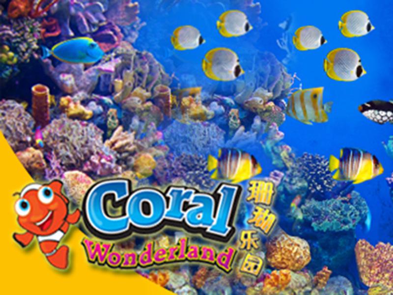 Coral Wonderland 